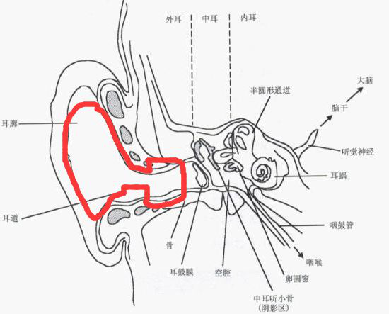 tws耳机音质差异